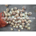 Китайский новый урожай свежий желтый лук